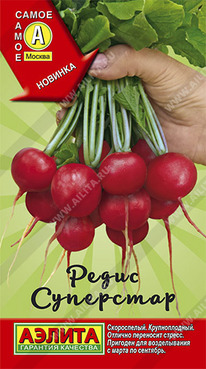 ��������� �����