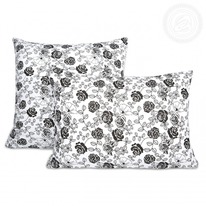 ����������� ��������� �� ������ ����