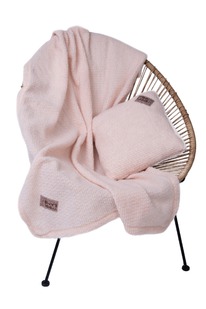 �������� �������+���� ����� ���� �����