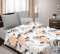 ������� ���������� ����� �� ���� ������� �������