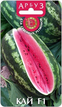 ����� ��� F1