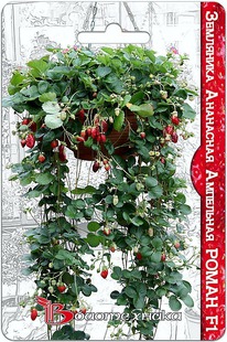 ��������� ��������� ��������� ����� F1