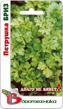 �������� ����