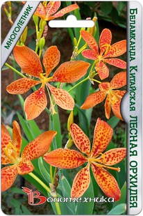 ���������� ��������� ��� ������ �������� ������ �������