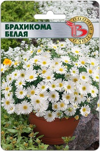 ��������� �����