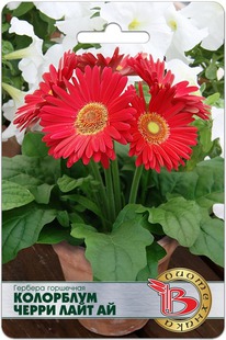 ������� ��������� ��������� ����� ���� ��