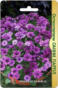 ������������ ����� �����