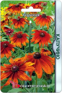 �������� ��������