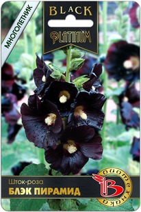 ����-���� ���� �������