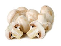 ���������� ��������