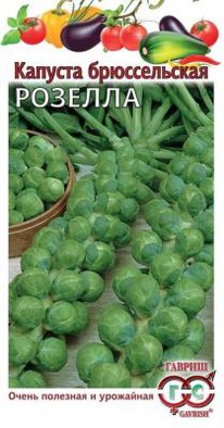 ������� ������������ �������