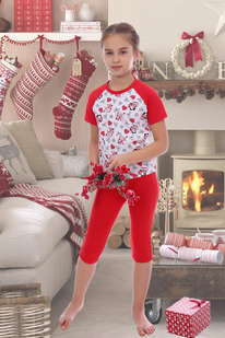 ������ 2178 �������