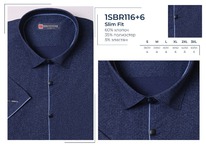 1SBR116+6s**  .. . . BROSTEM, 