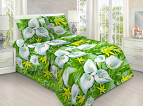 ������� ���������� ����� �� ���� (150��) - ����� (1838)