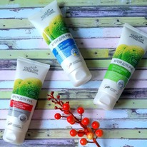 ���� �� ����� ���