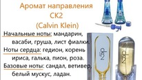 447 ������ ����������� CK2 (Calvin Klein) ������� 100 ��