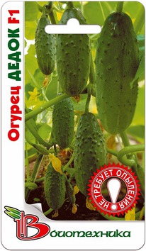 ������ ����� F1