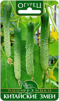 ������ ��������� ����