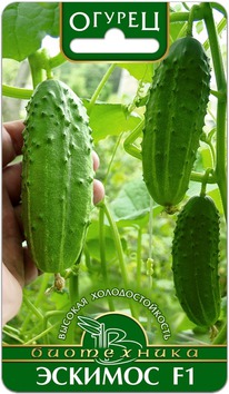 ������ ������� F1