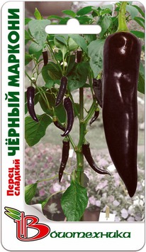 ����� ������� ������ �������