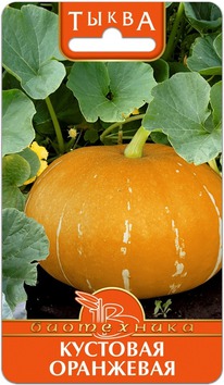 ����� �������� ���������