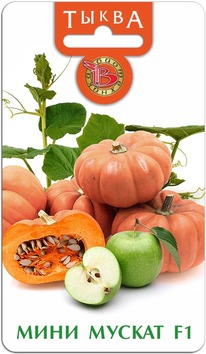 ����� ���� ������