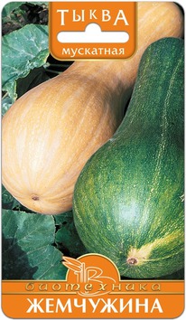 ����� ��������� ���������