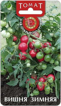 ����� ����� ������