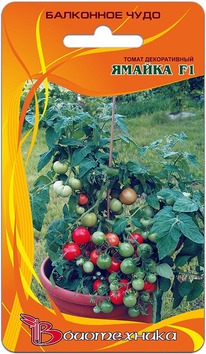 ����� ������������ ������ F1