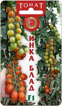 ����� ���� ���� F1