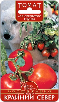 ����� ������� �����