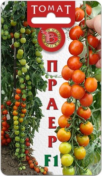 ����� ����� F1