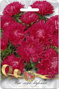 ����� ��������� ��� ���� ������