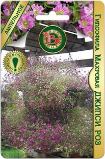 ��������� �������� ������ ���