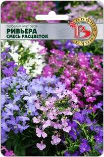 ������� �������� ������� ����� ���������