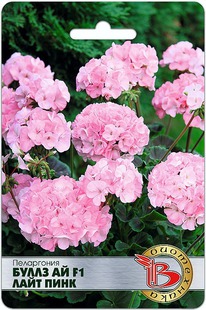 ����������  ����� �� F1 ���� ����