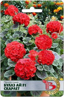 ����������  ����� �� F1 �������