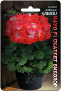 ���������� ��������� ���������� ���� F1 ������� �������