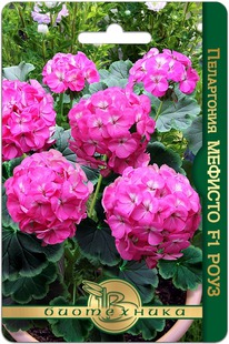 ���������� ���������������� ������� F1 ����