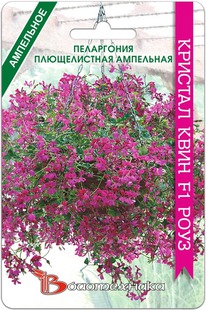 ���������� ������������ ��������� ������� ����  F1 ����