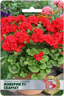 ���������� ������� ������� F1 �������