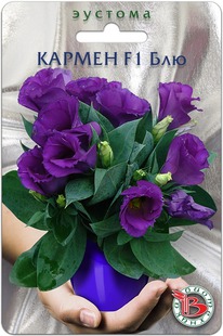 ������� ��������� ������ F1 ���