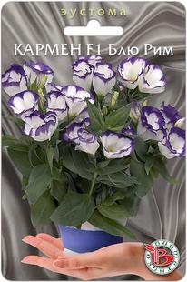 ������� ��������� ������ F1 ��� ���