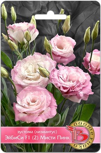 ������� ��������� ������ F1 (2) ����� ����