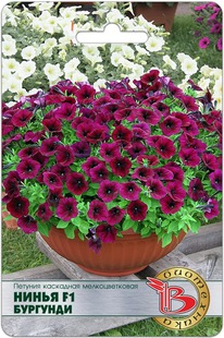 ������� ��������� �������������� ����� F1 ��������