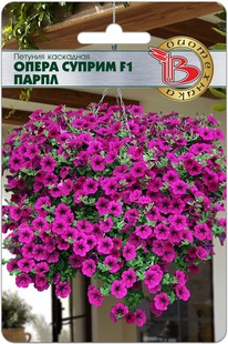 ������� ��������� ����� ������ F1 �����