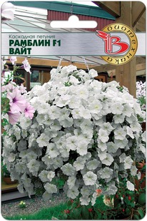 ������� ��������� ������� F1 ����