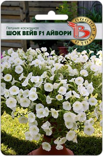 ������� ��������� ��� ���� F1 ������