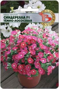 ���� ������� �������������� ���������� F1 �����-���������