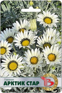 ������� ������ ����